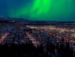 Strong northern lights (Aurora borealis) substorm on night sky over downtown Whitehorse, capital of the Yukon Territory, Canada, in winter.