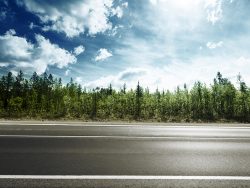 road in mountain forest