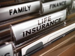 Close up on a file tab with the word life insurance, focus on the main text and blur effect. Concept image for illustration of family protection policy
