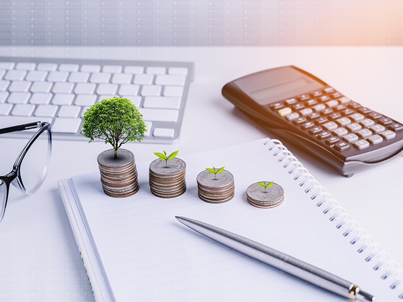 Stack of money coins, Little tree Glowing with account book finance for background. banking concept in growth, step by step for success in startup business