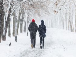 Couple walking during heavy snowstorm on the alley under the trees