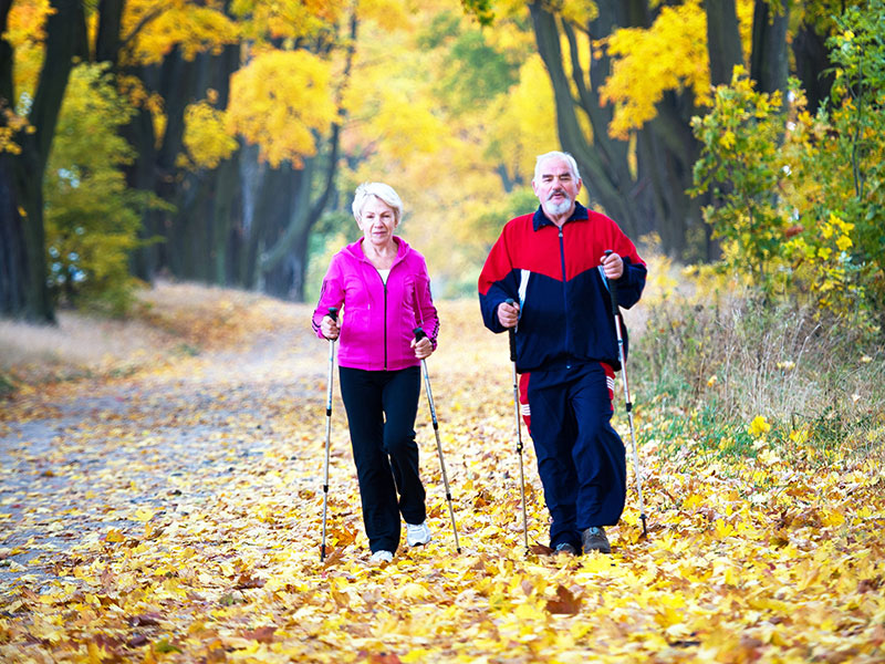 Senior couple making nordic walking in the park