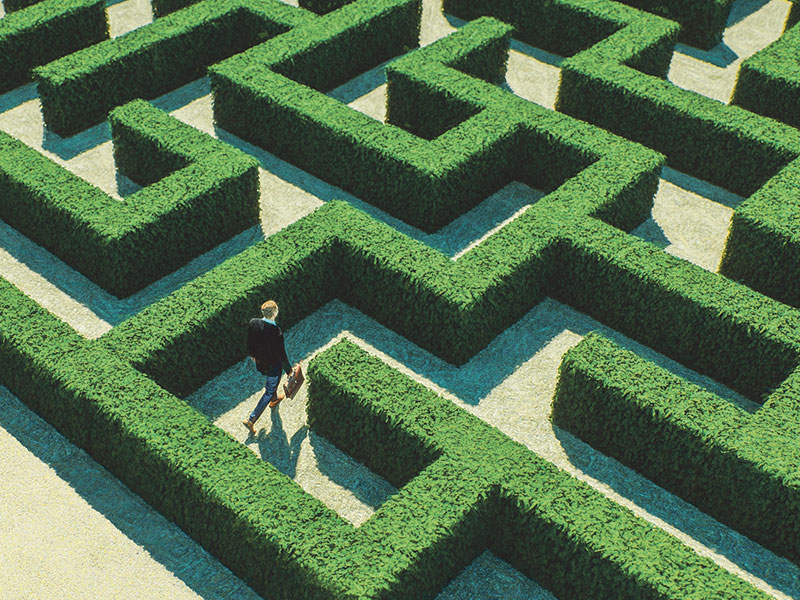 hedge maze