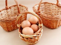 All eggs in one basket photography.